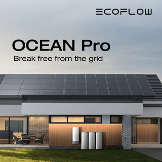 EcoFlow 10kWh LiFePO4 Home Battery – OCEAN Pro Battery Module